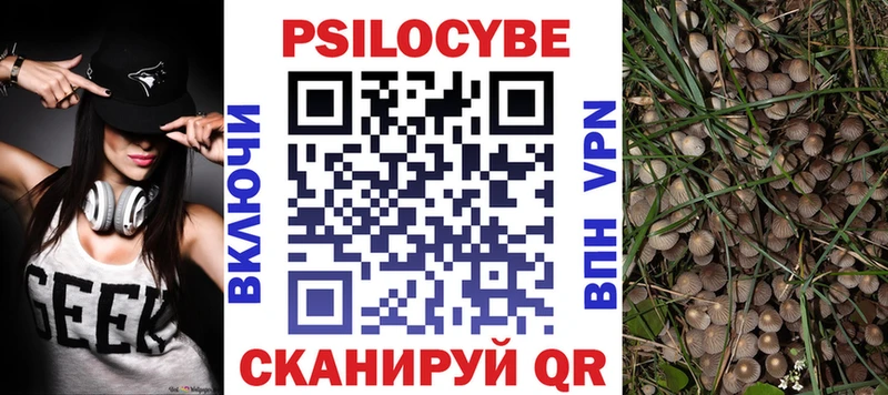 Купить где  Воркута  Псилоцибиновые грибы Psilocybine cubensis 